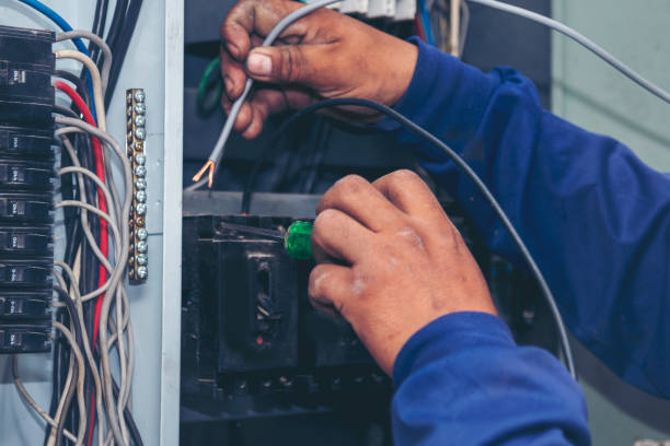 Best Electrician for Home Renovation  in Mineral Springs, NC